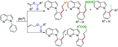 Graphical abstract: Rhodium(iii)-catalyzed C–C coupling of 7-azaindoles with vinyl acetates and allyl acetates
