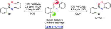 Graphical abstract: Efficient, versatile and practical palladium-catalyzed highly regioselective ortho-halogenation of azoxybenzenes