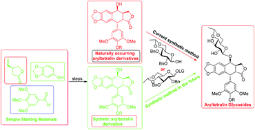 Graphical abstract: The chemical synthesis of aryltetralin glycosides