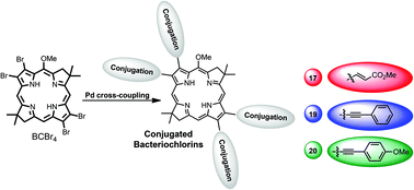 Graphical abstract: NIR bacteriochlorin chromophores accessed by Heck and Sonogashira cross-coupling reactions on a tetrabromobacteriochlorin derivative