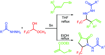 Graphical abstract: One-pot preparation of trifluoromethylated homoallylic N-acylhydrazines or α-methylene-γ-lactams from acylhydrazines, trifluoroacetaldehyde methyl hemiacetal, allyl bromide and tin