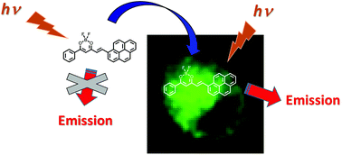 Graphical abstract: Borondifluoride complexes of hemicurcuminoids as bio-inspired push–pull dyes for bioimaging