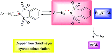 Graphical abstract: Copper-free Sandmeyer cyanation of arenediazonium o-benzenedisulfonimides