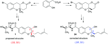 Graphical abstract: Total synthesis and stereochemical revision of xiamenmycin A