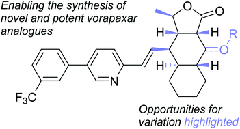 Graphical abstract: Synthesis of novel and potent vorapaxar analogues