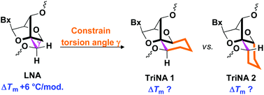 Graphical abstract: Design, synthesis, and duplex-stabilizing properties of conformationally constrained tricyclic analogues of LNA