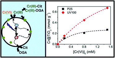 Graphical abstract: Role of Cr(iii) deposition during the photocatalytic transformation of hexavalent chromium and citric acid over commercial TiO2 samples
