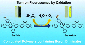 Graphical abstract: Film-type chemosensors based on boron diiminate polymers having oxidation-induced emission properties