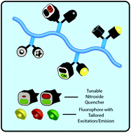 Graphical abstract: Modular design of profluorescent polymer sensors