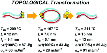 Graphical abstract: Photoinduced topological transformation of cyclized polylactides for switching the properties of homocrystals and stereocomplexes