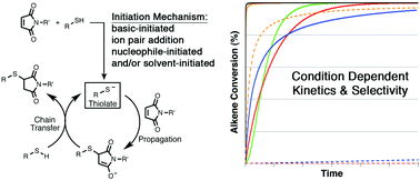 Graphical abstract: Thiol–maleimide “click” chemistry: evaluating the influence of solvent, initiator, and thiol on the reaction mechanism, kinetics, and selectivity