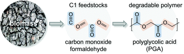 Graphical abstract: Polyglycolic acid from the direct polymerization of renewable C1 feedstocks