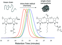 Graphical abstract: Intra-chain radical chemistry as a route to poly(norbornene imide) single-chain nanoparticles: structural considerations and the role of adventitious oxygen