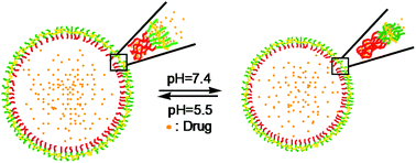 Graphical abstract: pH-Responsive polymeric Janus containers for controlled drug delivery