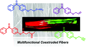 Graphical abstract: Multifunctional and spatially controlled bioconjugation to melt coextruded nanofibers