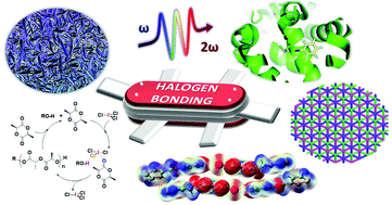 Graphical abstract: Halogen bonding in polymer science: from crystal engineering to functional supramolecular polymers and materials