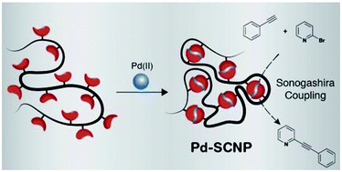Graphical abstract: Pd-complex driven formation of single-chain nanoparticles