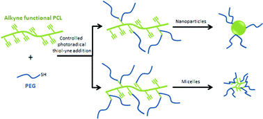 Graphical abstract: From nanospheres to micelles: simple control of PCL-g-PEG copolymers’ amphiphilicity through thiol–yne photografting