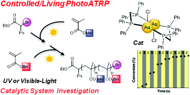 Graphical abstract: A dinuclear gold(i) complex as a novel photoredox catalyst for light-induced atom transfer radical polymerization