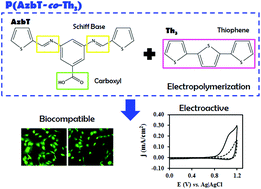 Graphical abstract: Electroactive and bioactive films of random copolymers containing terthiophene, carboxyl and Schiff base functionalities in the main chain