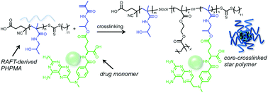 Graphical abstract: Facile synthesis of drug-conjugated PHPMA core-crosslinked star polymers