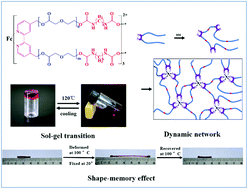 Graphical abstract: Facile fabrication of a well-defined poly(p-dioxanone) dynamic network from metallosupramolecular interactions to obtain an excellent shape-memory effect