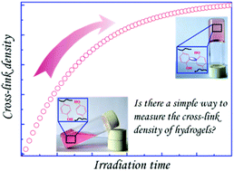 Graphical abstract: Real time quantification of the chemical cross-link density of a hydrogel by in situ UV-vis spectroscopy