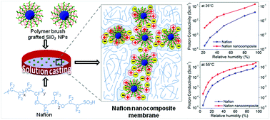 Graphical abstract: Polymer brush functionalized SiO2 nanoparticle based Nafion nanocomposites: a novel avenue to low-humidity proton conducting membranes