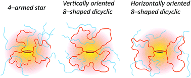 Graphical abstract: Single-molecule imaging reveals topological isomer-dependent diffusion by 4-armed star and dicyclic 8-shaped polymers