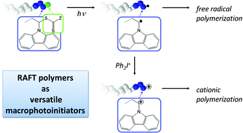 Graphical abstract: Polymers synthesized by RAFT as versatile macrophotoinitiators