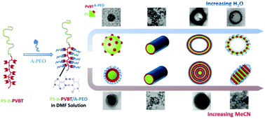 Graphical abstract: Multiple hydrogen bonding mediates the formation of multicompartment micelles and hierarchical self-assembled structures from pseudo A-block-(B-graft-C) terpolymers