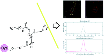 Graphical abstract: Synthesis of random terpolymers bearing multidentate imidazole units and their use in functionalization of cadmium sulfide nanowires