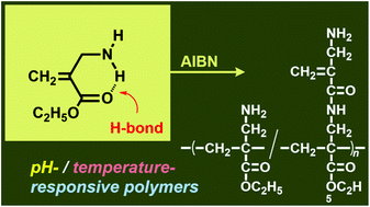 Graphical abstract: α-(Aminomethyl)acrylate: polymerization and spontaneous post-polymerization modification of β-amino acid ester for a pH/temperature-responsive material