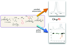 Graphical abstract: Synthesis of polystyrene-grafted cellulose acetate copolymers via nitroxide-mediated polymerization