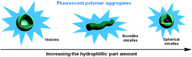 Graphical abstract: Facile construction of fluorescent polymeric aggregates with various morphologies by self-assembly of supramolecular amphiphilic graft copolymers