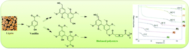 Graphical abstract: Renewable (semi)aromatic polyesters from symmetrical vanillin-based dimers