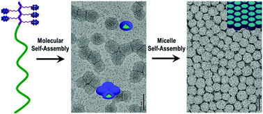 Graphical abstract: A poly(polyoxometalate)-b-poly(hexanoic acid) block copolymer: synthesis, self-assembled micelles and catalytic activity