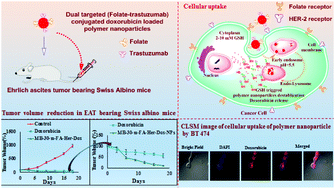 Graphical abstract: Synthesis and biological evaluation of dual functionalized glutathione sensitive poly(ester-urethane) multiblock polymeric nanoparticles for cancer targeted drug delivery