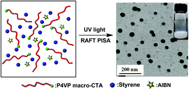 Graphical abstract: UV light-initiated RAFT polymerization induced self-assembly
