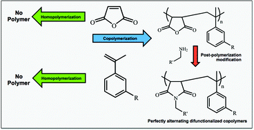 Graphical abstract: Alternating copolymers of functionalized α-methyl styrene monomers and maleic anhydride