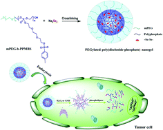 Graphical abstract: PEGylated poly(diselenide-phosphate) nanogel as efficient self-delivery nanomedicine for cancer therapy