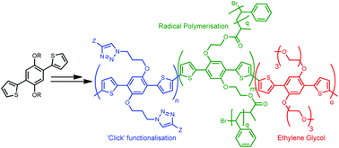 Graphical abstract: Highly functionalisable polythiophene phenylenes