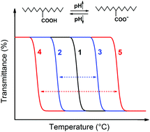 Graphical abstract: A new comonomer design for enhancing the pH-triggered LCST shift of thermosensitive polymers