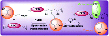 Graphical abstract: Synthesis of catechol and zwitterion-bifunctionalized poly(ethylene glycol) for the construction of antifouling surfaces