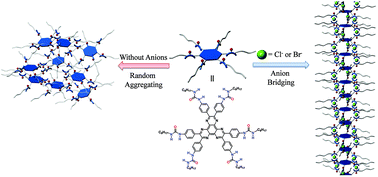 Graphical abstract: The construction of supramolecular polymers through anion bridging: from frustrated hydrogen-bonding networks to well-ordered linear arrays