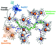 Graphical abstract: Ru(bpy)32+ derivatized polystyrenes constructed by nitroxide-mediated radical polymerization. Relationship between polymer chain length, structure and photophysical properties