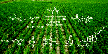 Graphical abstract: Cu(0)-mediated living radical polymerisation in dimethyl lactamide (DML); an unusual green solvent with limited environmental impact