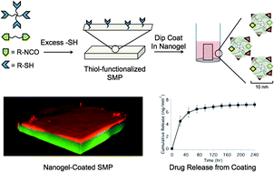 Graphical abstract: Combined, independent small molecule release and shape memory via nanogel-coated thiourethane polymer networks