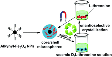 Graphical abstract: Helical polymer/Fe3O4 NPs constructing optically active, magnetic core/shell microspheres: preparation by emulsion polymerization and recycling application in enantioselective crystallization