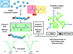Graphical abstract: One-pot synthesis of poly(vinylidene fluoride) methacrylate macromonomers via thia-Michael addition
